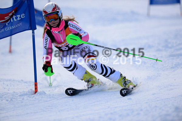 Ziener Cup Finale 2015