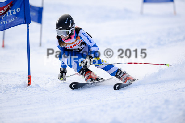 Ziener Cup Finale 2015