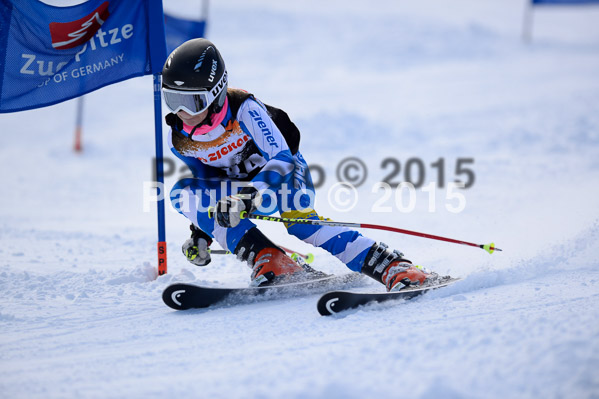 Ziener Cup Finale 2015
