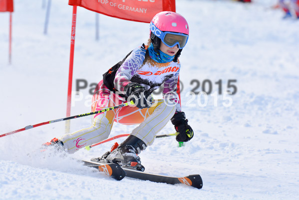 Ziener Cup Finale 2015