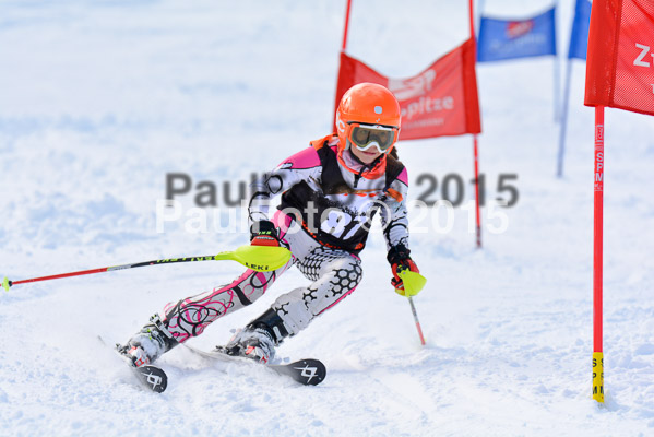 Ziener Cup Finale 2015