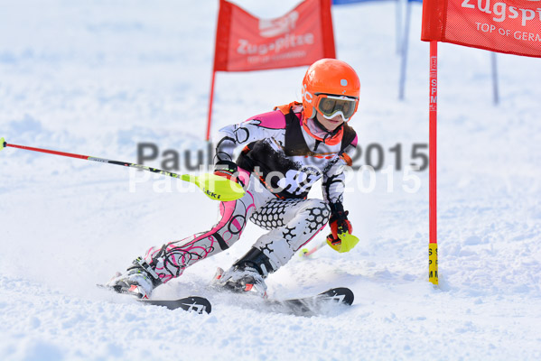 Ziener Cup Finale 2015