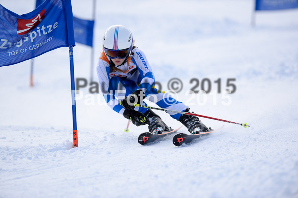 Ziener Cup Finale 2015