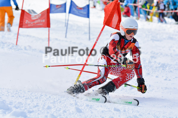 Ziener Cup Finale 2015