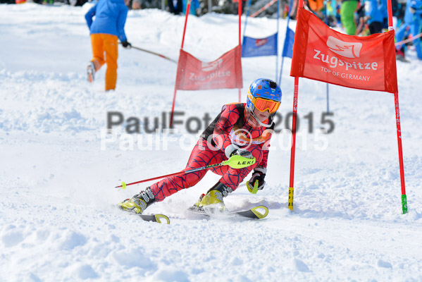 Ziener Cup Finale 2015