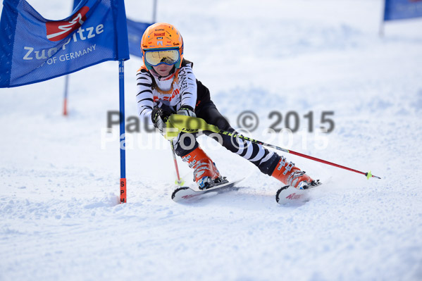 Ziener Cup Finale 2015