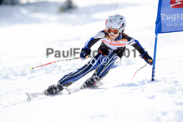 Ziener Cup Finale 2015