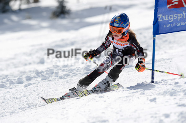 Ziener Cup Finale 2015