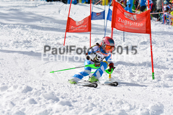 Ziener Cup Finale 2015