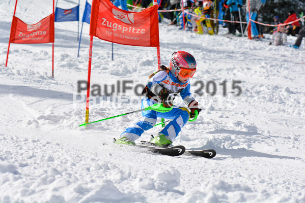 Ziener Cup Finale 2015