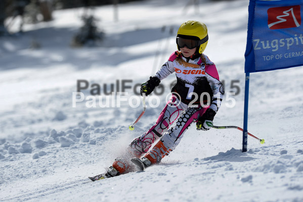 Ziener Cup Finale 2015