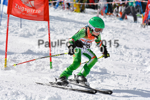 Ziener Cup Finale 2015