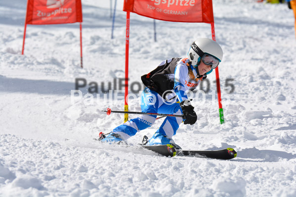 Ziener Cup Finale 2015