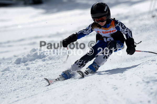 Ziener Cup Finale 2015