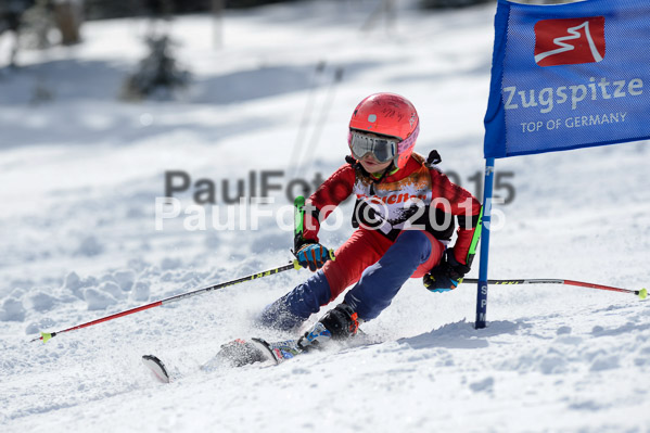 Ziener Cup Finale 2015