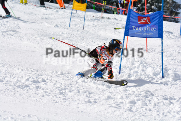 Ziener Cup Finale 2015