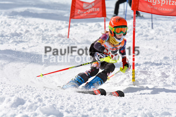 Ziener Cup Finale 2015