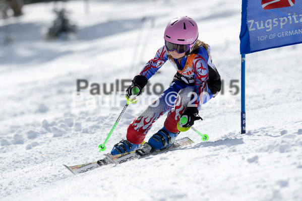 Ziener Cup Finale 2015