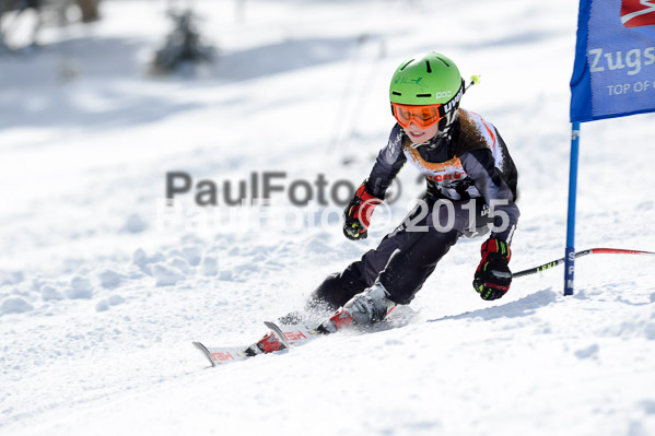 Ziener Cup Finale 2015
