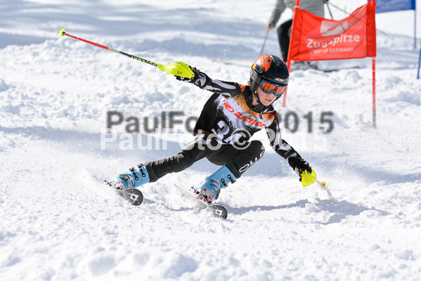 Ziener Cup Finale 2015