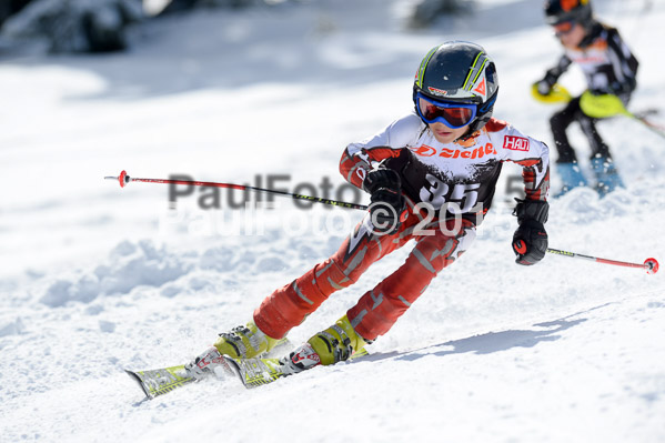 Ziener Cup Finale 2015