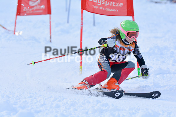 Ziener Cup Finale 2015