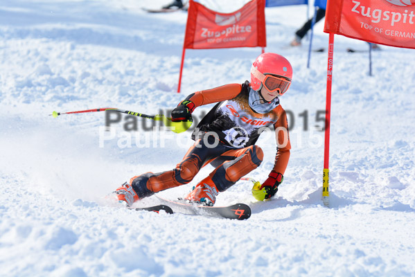 Ziener Cup Finale 2015
