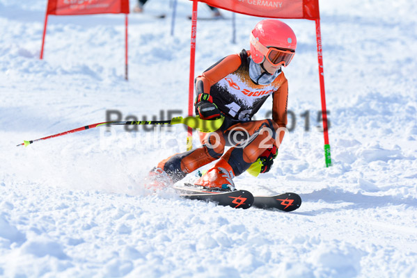 Ziener Cup Finale 2015