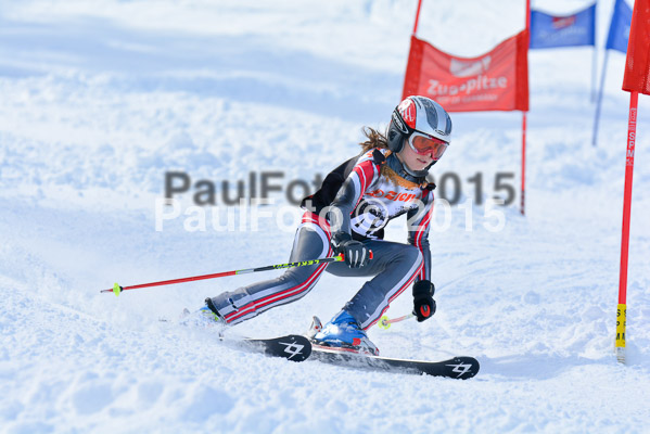 Ziener Cup Finale 2015