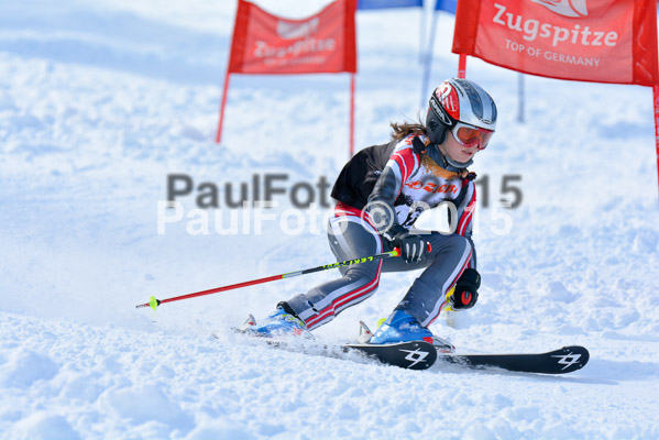 Ziener Cup Finale 2015