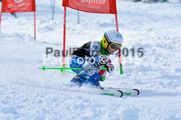Ziener Cup Finale 2015