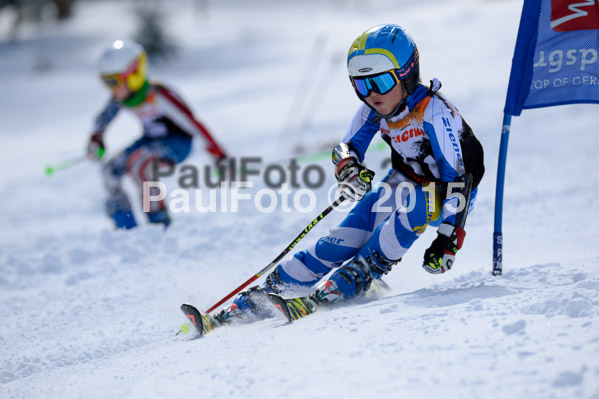 Ziener Cup Finale 2015