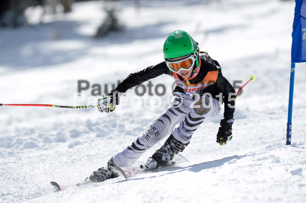 Ziener Cup Finale 2015