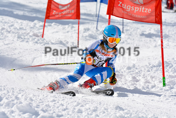 Ziener Cup Finale 2015
