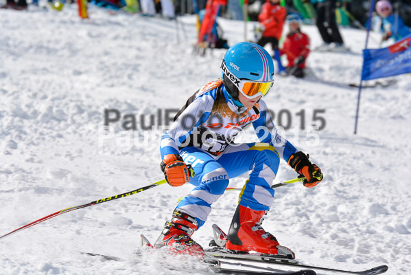 Ziener Cup Finale 2015