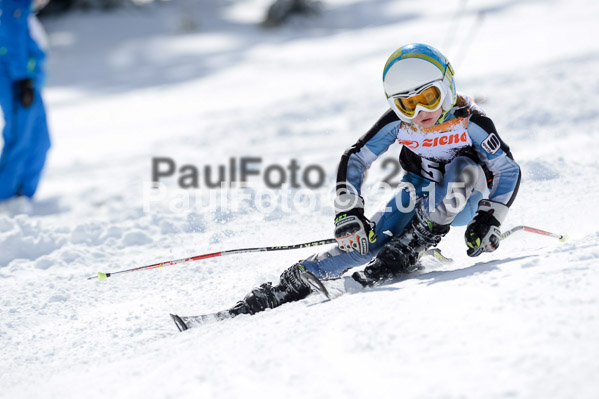 Ziener Cup Finale 2015