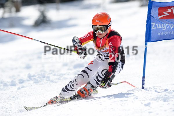 Ziener Cup Finale 2015