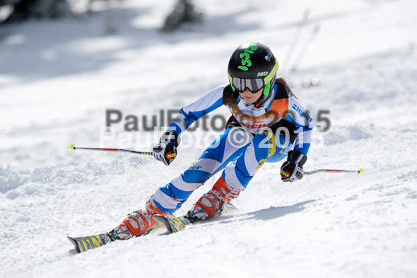 Ziener Cup Finale 2015