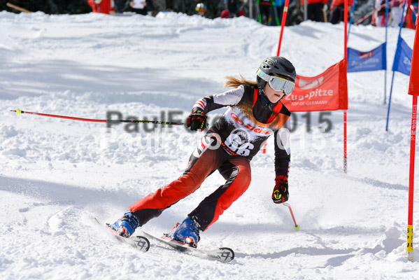 Ziener Cup Finale 2015