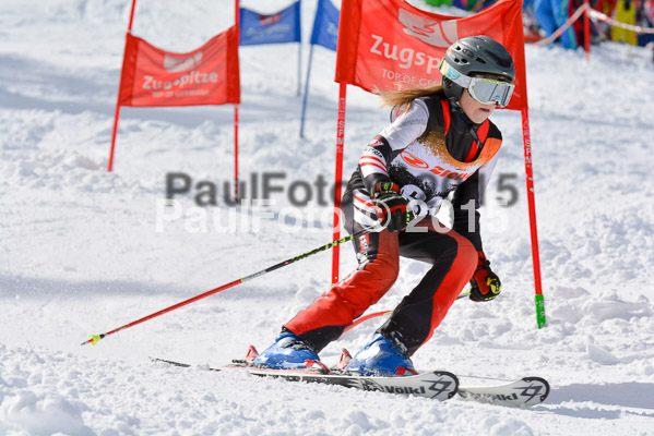 Ziener Cup Finale 2015