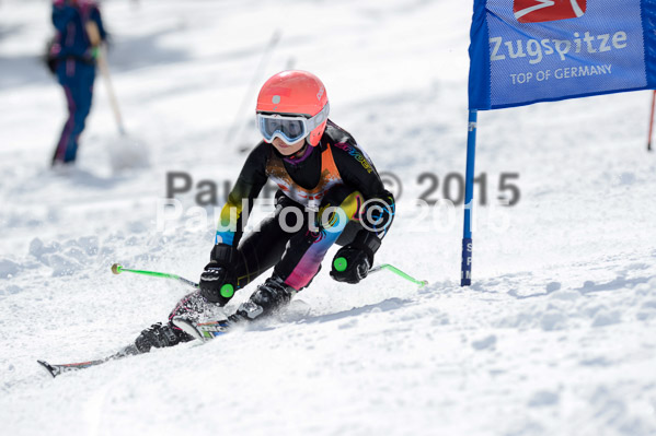Ziener Cup Finale 2015