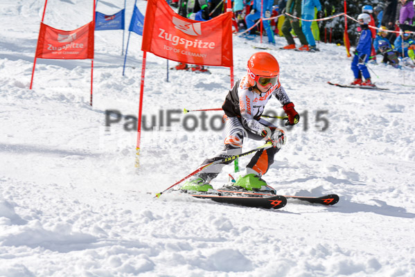 Ziener Cup Finale 2015