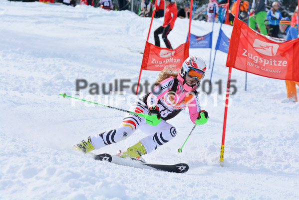 Ziener Cup Finale 2015