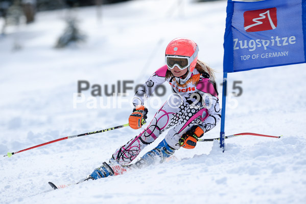 Ziener Cup Finale 2015