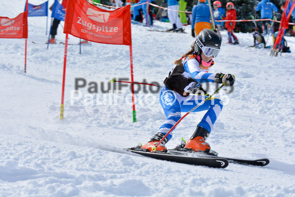 Ziener Cup Finale 2015