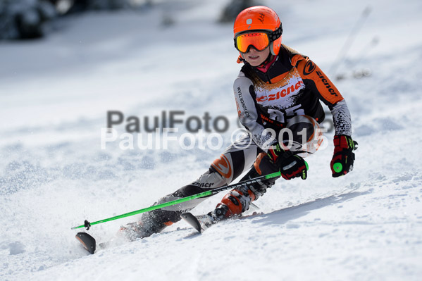 Ziener Cup Finale 2015