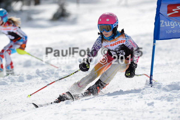 Ziener Cup Finale 2015
