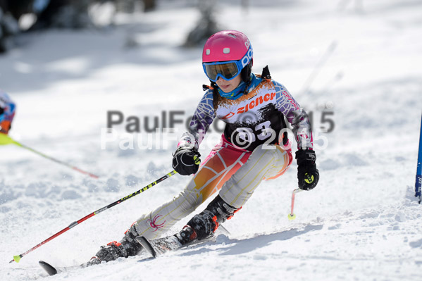 Ziener Cup Finale 2015