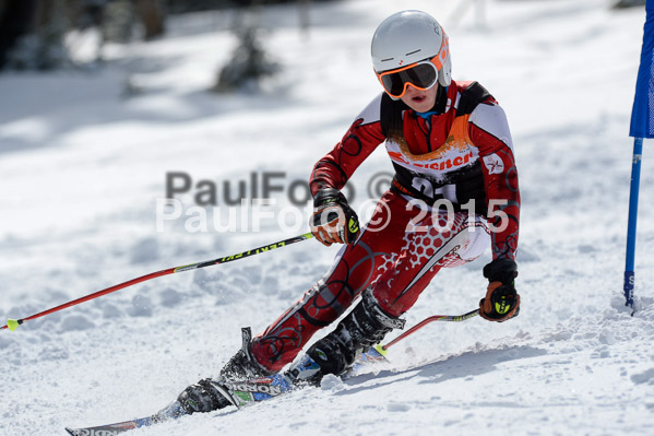 Ziener Cup Finale 2015