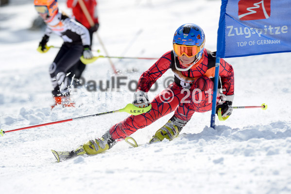 Ziener Cup Finale 2015